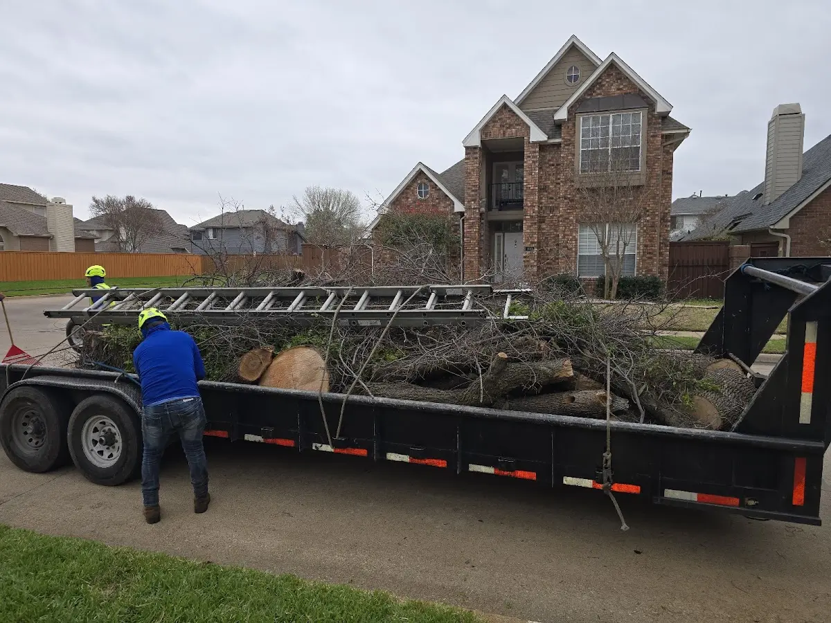 Expert Tree Fertilization with proper safety equipment in Van Horn